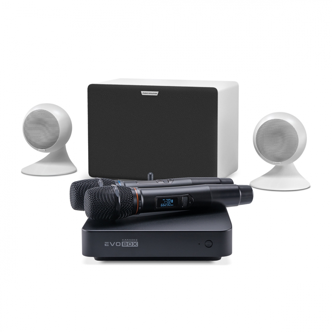 караоке-комплект EVOBOX Classic + EvoSound Sphere 2.1 в Белебее