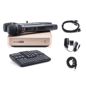 EVOBOX Classic караоке-система для дома в Белебее